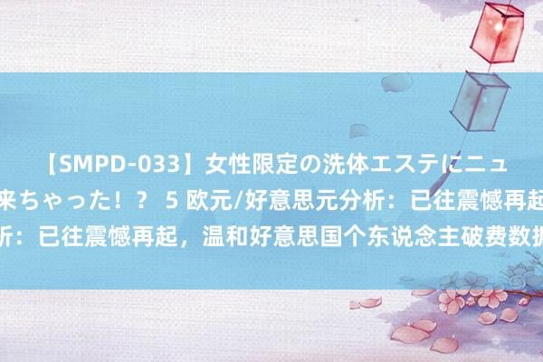 【SMPD-033】女性限定の洗体エステにニューハーフのお客さんが来ちゃった！？ 5 欧元/好意思元分析：已往震憾再起，温和好意思国个东说念主破费数据和法国大选