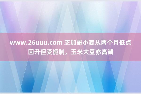 www.26uuu.com 芝加哥小麦从两个月低点回升但受扼制，玉米大豆亦高潮