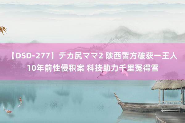 【DSD-277】デカ尻ママ2 陕西警方破获一王人10年前性侵积案 科技助力千里冤得雪