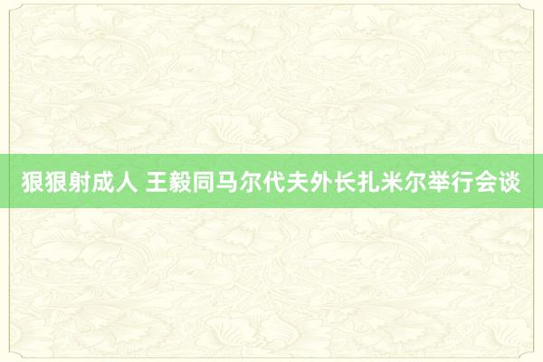 狠狠射成人 王毅同马尔代夫外长扎米尔举行会谈