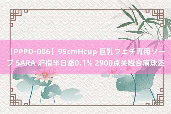 【PPPD-086】95cmHcup 巨乳フェチ専用ソープ SARA 沪指半日涨0.1% 2900点关隘合浦珠还