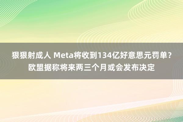 狠狠射成人 Meta将收到134亿好意思元罚单？欧盟据称将来两三个月或会发布决定