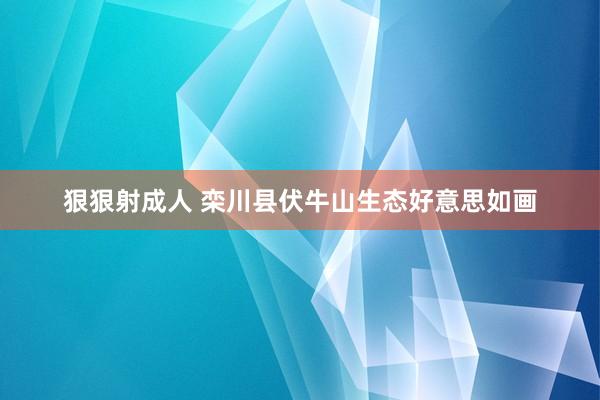 狠狠射成人 栾川县伏牛山生态好意思如画