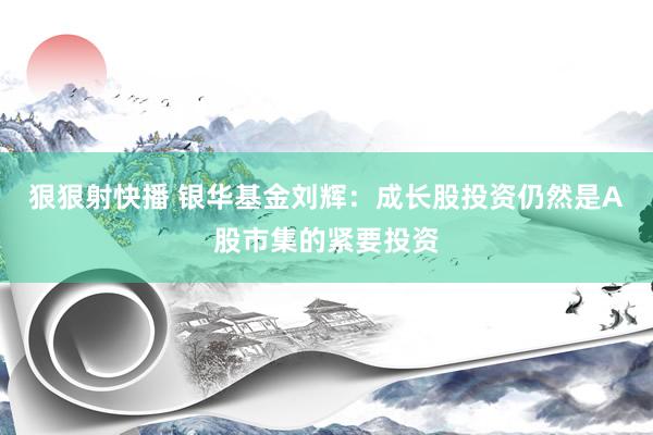 狠狠射快播 银华基金刘辉：成长股投资仍然是A股市集的紧要投资