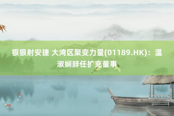 狠狠射安捷 大湾区聚变力量(01189.HK)：温淑娴辞任扩充董事