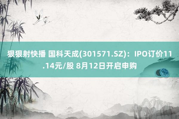 狠狠射快播 国科天成(301571.SZ)：IPO订价11.14元/股 8月12日开启申购