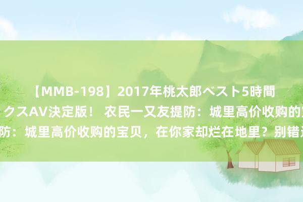 【MMB-198】2017年桃太郎ベスト5時間！これが見納めパラドックスAV決定版！ 农民一又友提防：城里高价收购的宝贝，在你家却烂在地里？别错过契机！