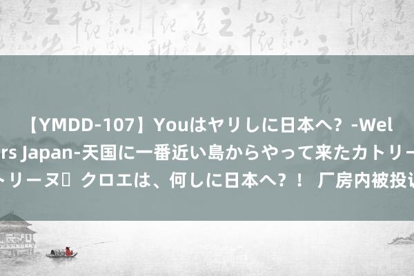 【YMDD-107】Youはヤリしに日本へ？‐Welcome to sex lovers Japan‐天国に一番近い島からやって来たカトリーヌ・クロエは、何しに日本へ？！ 厂房内被投诉排放废气，查抄提出助企解除隐患