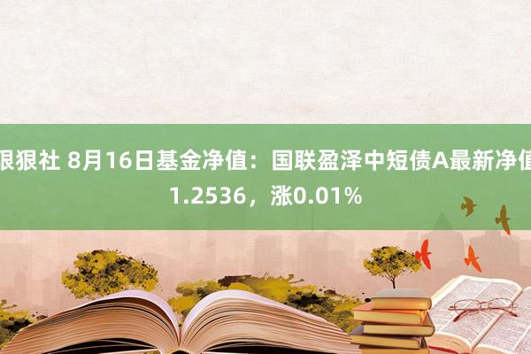 狠狠社 8月16日基金净值：国联盈泽中短债A最新净值1.2536，涨0.01%