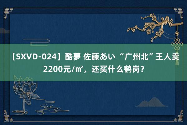 【SXVD-024】酷夢 佐藤あい “广州北”王人卖2200元/㎡，还买什么鹤岗？