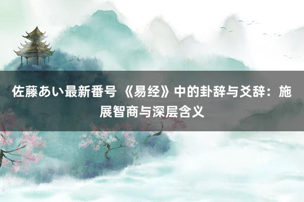 佐藤あい最新番号 《易经》中的卦辞与爻辞：施展智商与深层含义