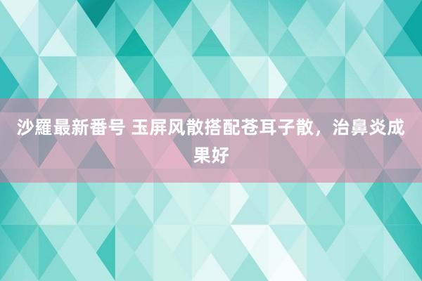 沙羅最新番号 玉屏风散搭配苍耳子散，治鼻炎成果好