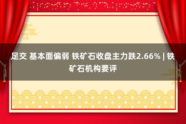 足交 基本面偏弱 铁矿石收盘主力跌2.66% | 铁矿石机构要评