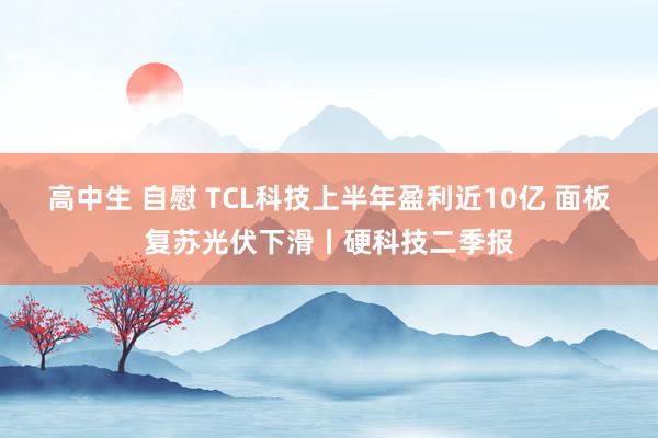 高中生 自慰 TCL科技上半年盈利近10亿 面板复苏光伏下滑丨硬科技二季报