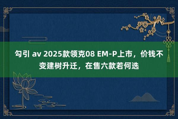 勾引 av 2025款领克08 EM-P上市，价钱不变建树升迁，在售六款若何选