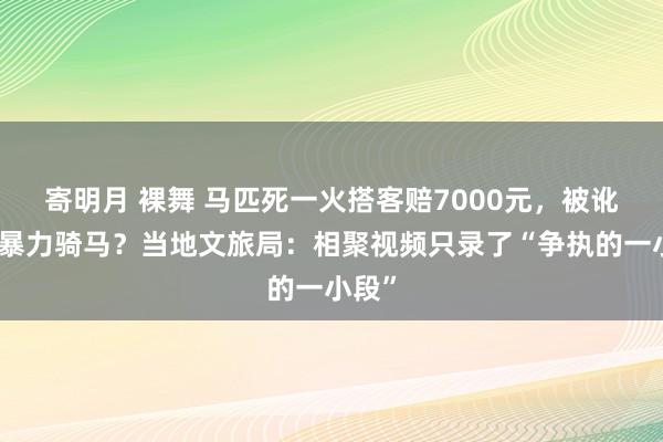 寄明月 裸舞 马匹死一火搭客赔7000元，被讹如故暴力骑马？当地文旅局：相聚视频只录了“争执的一小段”