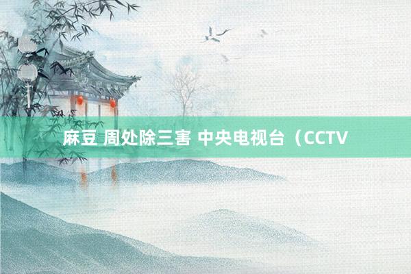 麻豆 周处除三害 中央电视台（CCTV