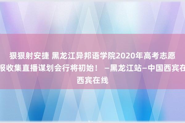 狠狠射安捷 黑龙江异邦语学院2020年高考志愿填报收集直播谋划会行将初始！ —黑龙江站—中国西宾在线