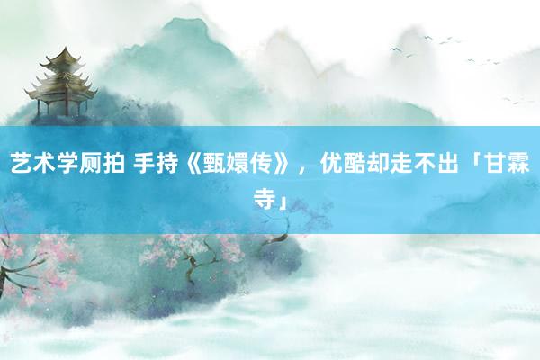 艺术学厕拍 手持《甄嬛传》，优酷却走不出「甘霖寺」