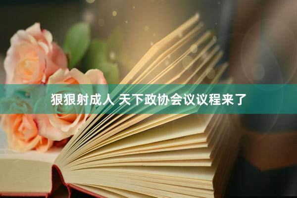 狠狠射成人 天下政协会议议程来了