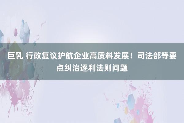 巨乳 行政复议护航企业高质料发展！司法部等要点纠治逐利法则问题